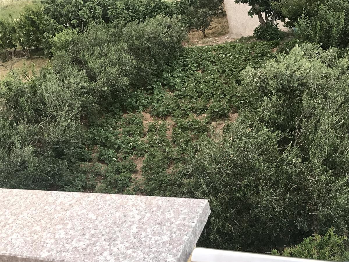 Apartman Mig Solin Exterior foto